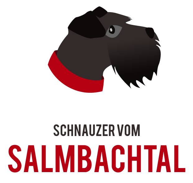 Schnauzer vom Salmbachtal