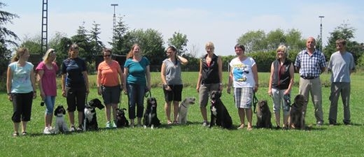 alle 8 Hunde mit Ihren Frauchen!