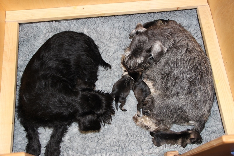 Mama und Vertretung gemeinsam beim Kinder hüten..