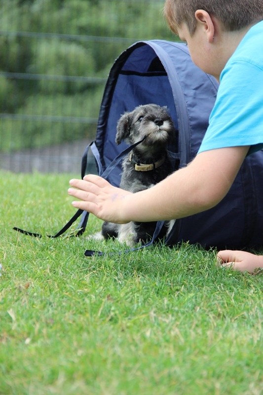 Cindy beim Flirt mit Max!