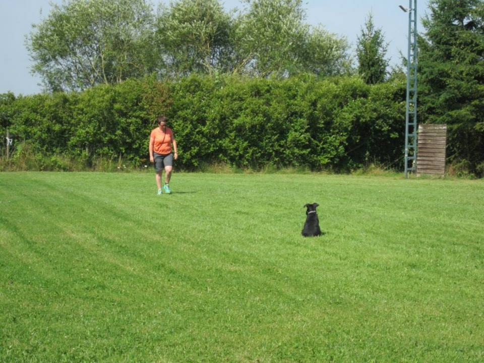 mein Frauchen geht weg und ich muss sitzen bleiben, ok, dann mach ich das halt