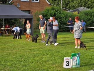Best in Show-Ring