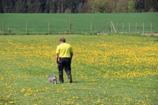 Fuß an der Leine