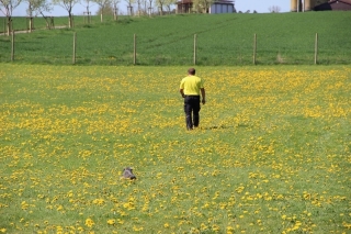 Herrchen geht weiter...ich nicht