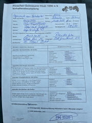 Verhaltensbeurteilung