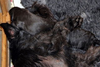 Kuscheltime mit Mama...sooooo schön!