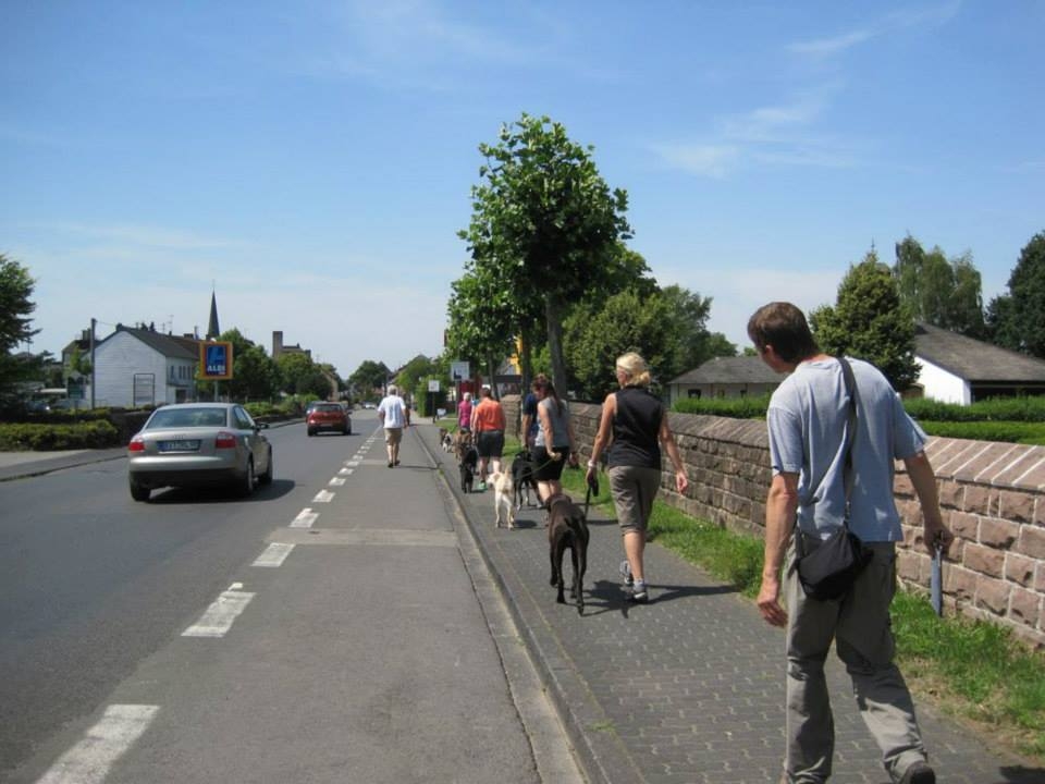 belebte Stra&szlig;e, wir m&uuml;ssen sch&ouml;n neben Frauchen gehen...