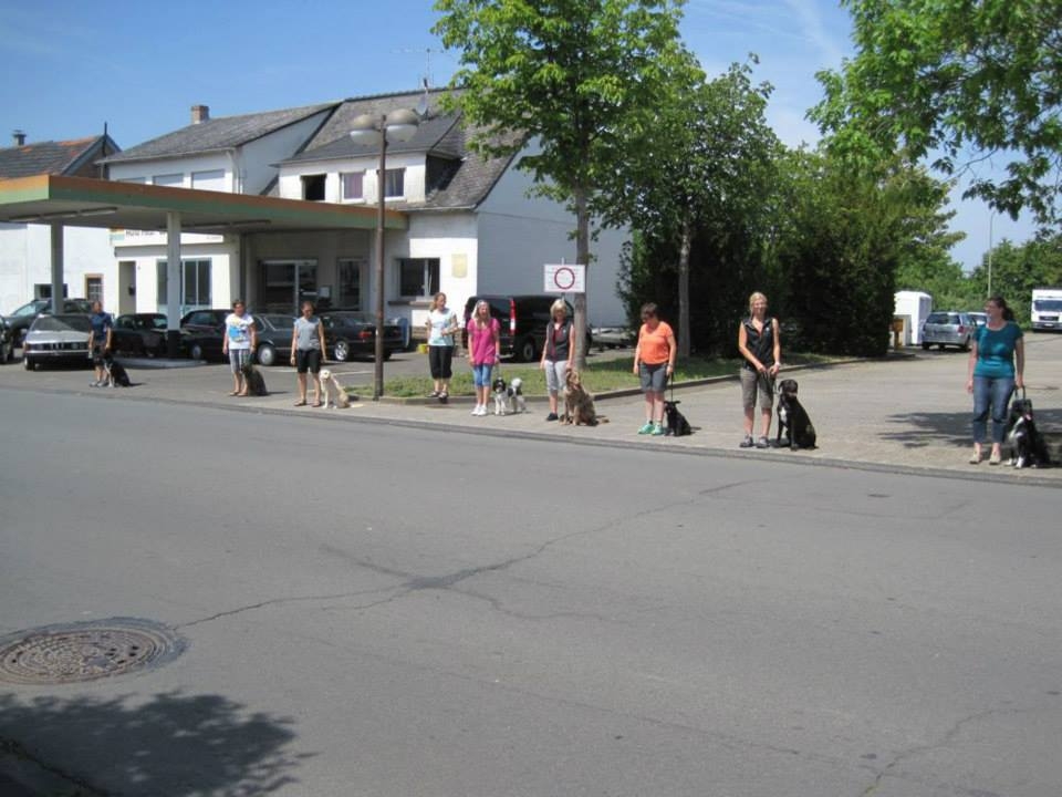 alle Mann Sitz, bevor es &uuml;ber die Stra&szlig;e geht